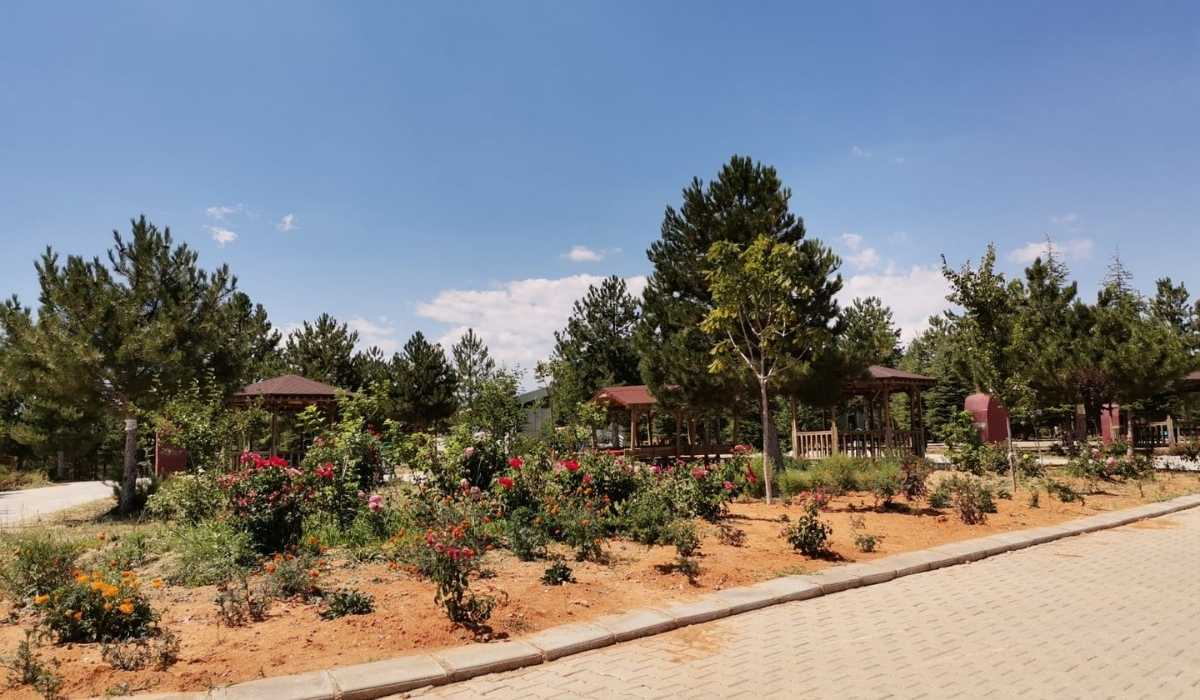 Altıntaş Mesire Alanı