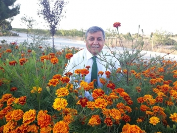 Cumanız Mübarek Olsun::*::