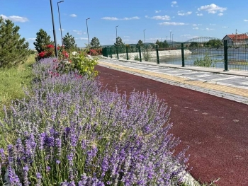 ::*::Altıntaş İçin Canla Başla ::*::Gönül Belediyeciliği::*::