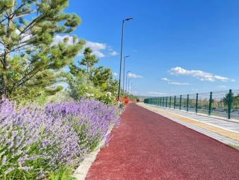 ::*::Altıntaş İçin Canla Başla ::*::Gönül Belediyeciliği::*::